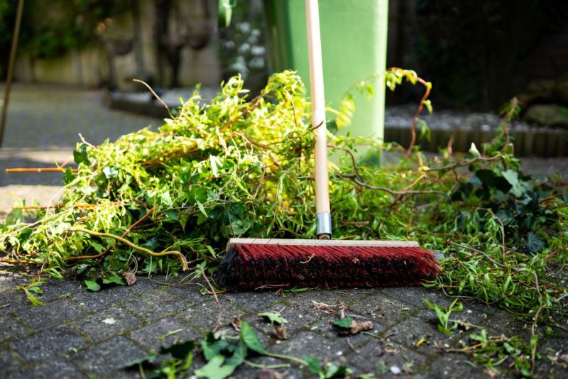 garden renovation