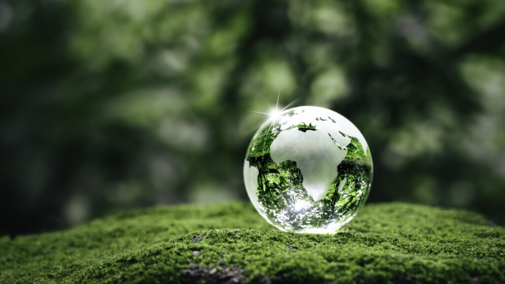 Outdoor environment with clear globe